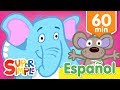 Abre Cierra Y Más Canciones Infantiles | Música Para Niños