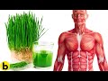 Eat Wheatgrass EVERY DAY,  This WILL Happen To Your Body