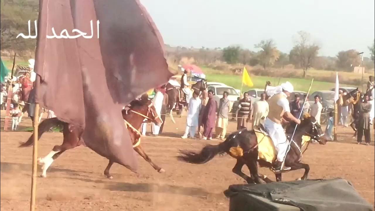 horse race song,horse race video,horse races live in aldan,horse race