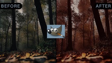 How to Use the Color Balance to Edit Photos in Gimp