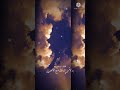 بلاك بينك ابقى بلاك بينك ابقى