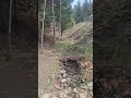 Find peace in nature