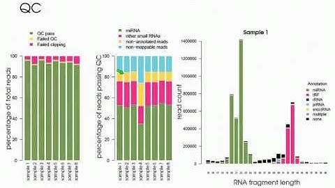 Quantitative MicroRNA Expression Analysis in Tissues and Body Fluids