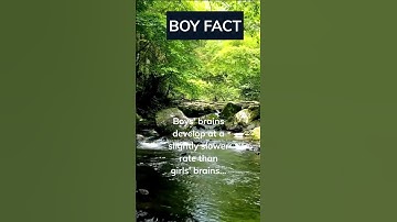 Boys’ brains develop at a slightly slower rate than… #shorts #boyfact