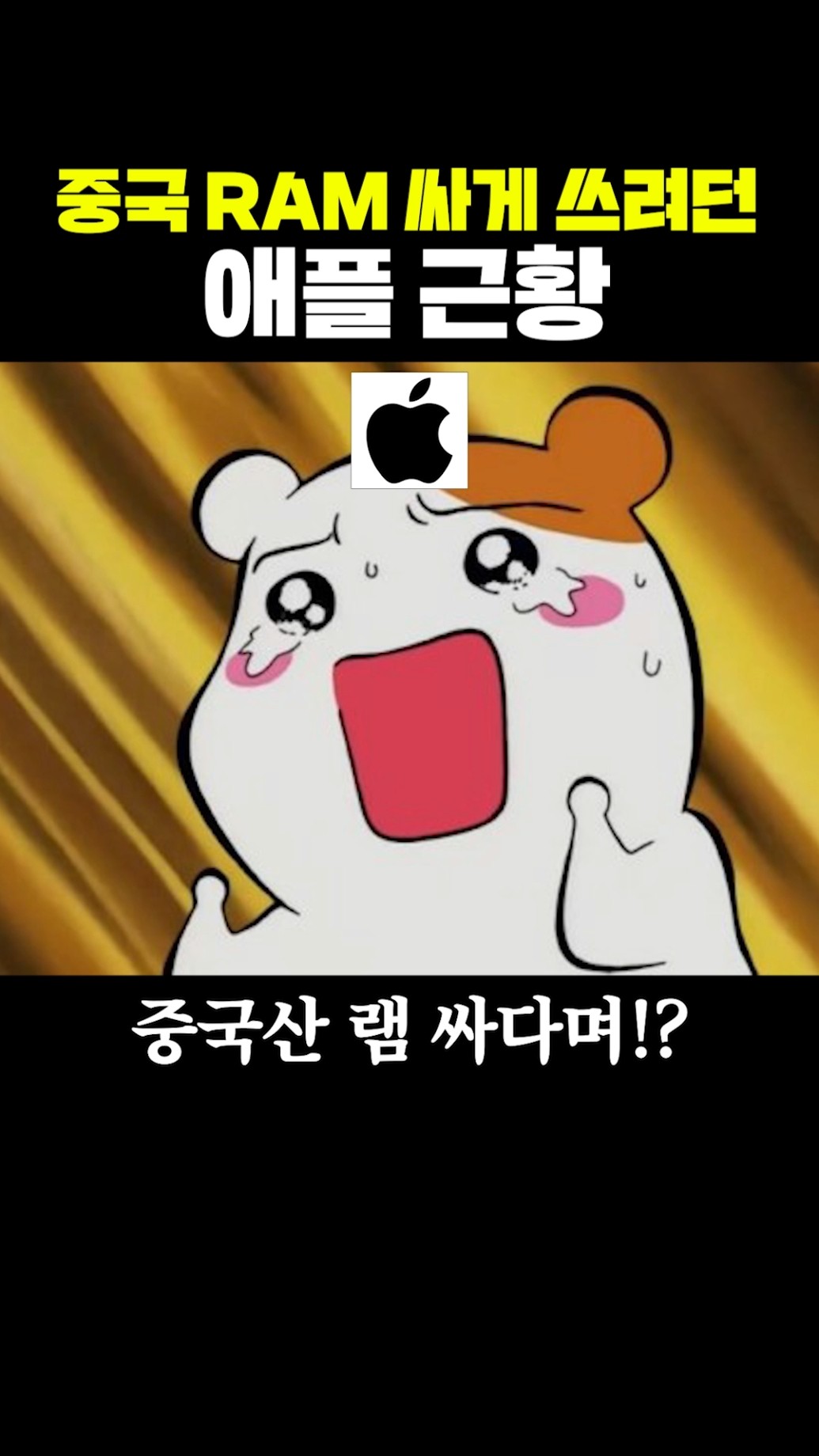중국 RAM 싸게 쓰려던 애플 근황