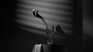 ELEGANCE WITH AN EDGE | VERA WANG LUXE GRAPHITE FOR WEDGWOOD
