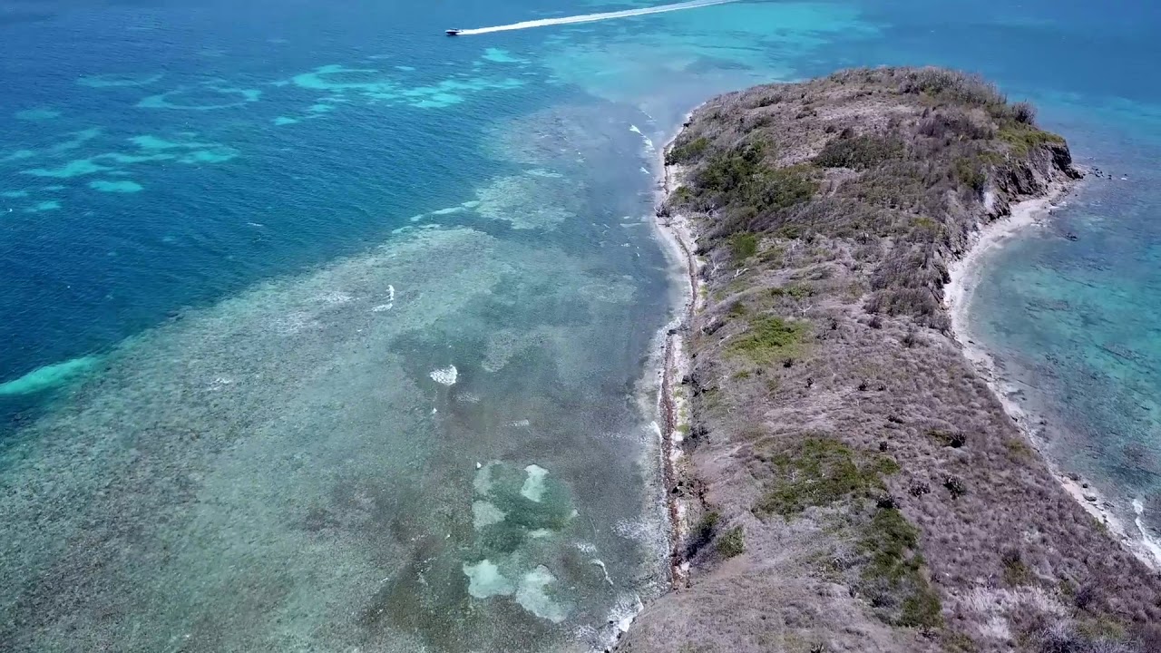 New Deep End Bar & Grill is at Tamarind Reef in St. Croix USVI YouTube