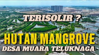 Mengapa Wisata Hutan Mangrove Desa Muara Terisolir Pembangunan PIK 2 ???  #teluknaga #tangerang