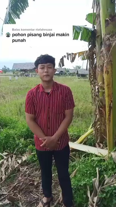 SALAM DARI BINJAI | PARIS PERNANDES