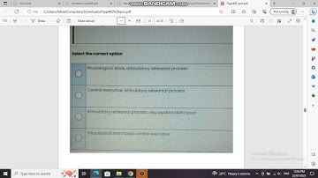 PSYP402- Experimental Psychology Quiz.4 # PSYP402  VU Final term MCQS Preparation 2023