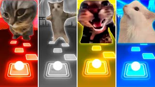 Chipi Chipi Chapa Chapa Cat vs Happy Cat vs Doorbell Cat vs Coffin Dance Cat - Tiles Hop EDM Rush