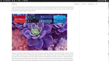 How To Use Media Sharing In Monarch