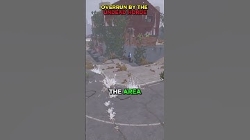 🌲 The Wilderness Rust Servers | Solo/Duo/Quad 💥⚔️ #rustserver