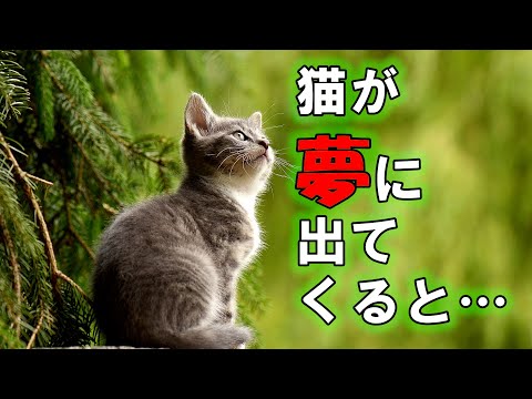 人生の大きな変化の前触れに見る夢４選