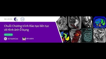 PGS.TS.BS Lê Thanh Dũng - Cập nhật điều trị tại chỗ - vùng trong ung thư gan