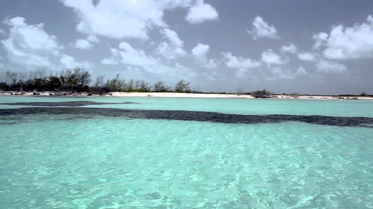 Boston Whaler | 2013 Bimini Rendezvous