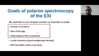 “Polaron spectroscopy of a bilayer excitonic insulator” by Ivan Amelio