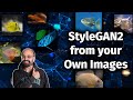 Training a GAN from your Own Images: StyleGAN2 ADA