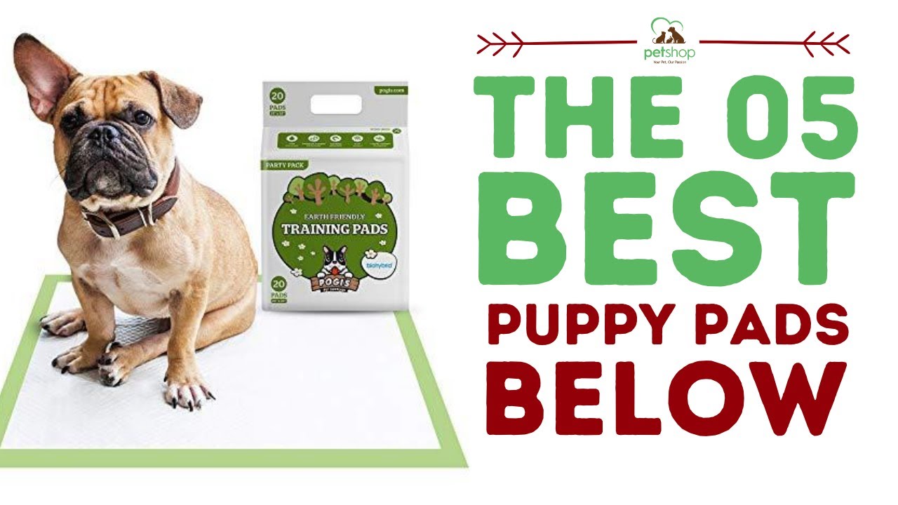 The Best Puppy Pads Below