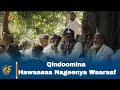 Qindoomina Hawaasaa Nageenya Waaraaf