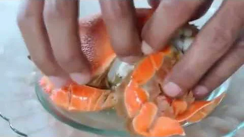 Opening A Curacha (Spanner Crab)