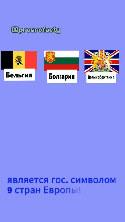 лев - очень популярное животное для государственных символов #лев # ...