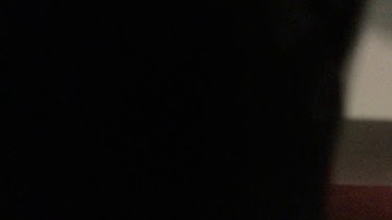 FAKE HYDRO FLASK ASMR