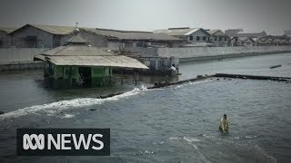 The current capital, a mega-city of some 30 million people on island
java, is heavily polluted, traffic-clogged and prone to floods
earthquakes.mu...