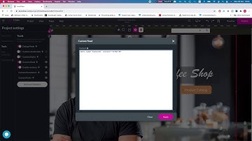 How to add Styles, Javascript, and Meta-Tags to your Salesforce website using custom head