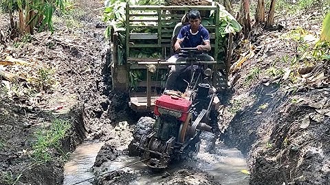 Xe công nông hai câu chở chuối và cái kết quá khỏe 