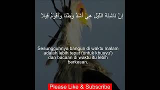 Download Lagu Surat Al-Muzzammil | 73:6 | Al Quran dengan terjemahannya | bacaan Al Quran MP3