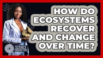 How Do Ecosystems Recover And Change Over Time? - Science Through Time