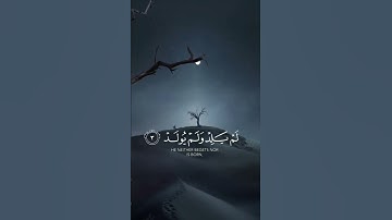 سورة الاخلاص 🩶 #قران_كريم #اكسبلور #المصحف #القران #راحة_نفسية #الرحمن #لايك