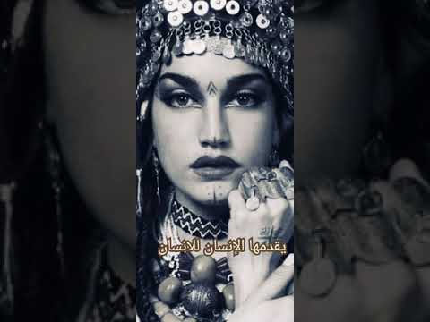 الاحترام الأدب
