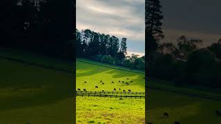 #Australia’s #natural #beauty is truly #breathtaking🥰🥰☘️
