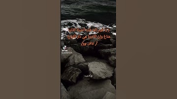 تلاوة من سورة غافر.. بصوت القارئ محمد ديبيروف 🤍🕊