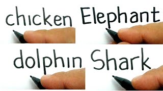 Download Lagu compilation animal , How to turn words : CHICKEN , ELEPHANT , DOLPHIN , SHARK into cartoon MP3
