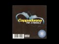 Cappadonna Struggle With This mp3