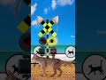 【踏切アニメ】ねこがいるニャンおかしなふみきりカンカン fumikiri kankan #shorts