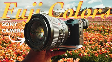 Get the FUJI Look on Your SONY Camera