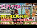 【ヴィクトリアマイル2026】予習動画 Part2 エンブロイダリーに死角無し!?ルメール騎手現在6年連続馬券内【競馬の初心者の方にもわかりやすく解説】