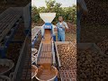 Cocoa Processing Machine 🍫🔥 Turn Beans Into Smooth Cocoa Paste Fast!