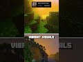 BEST Minecraft Bedrock Shaders Better Vibrant Visuals!
