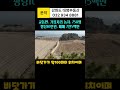 교동면.경지정리안된.가장자리농지/평당10만/강화도부동산.강화도급매물.강화도토지.강화도땅.강화도대명부동산#shorts