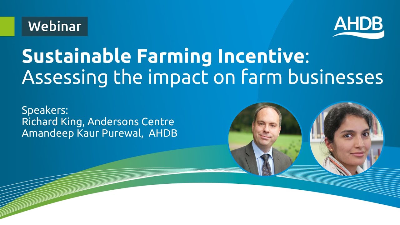 Assessing the Impact of the Sustainable Farming Incentive on Farm ...