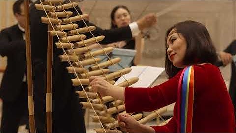 NSƯT Hoa Đăng độc tấu đàn T