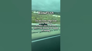 What is Blowfish? Blowfish Explained #security