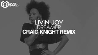 Livin Joy - Dreamer (Craig Knight Remix) Resimi