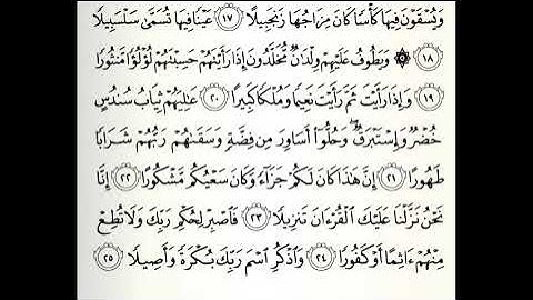 سورة الإنسان القارئ صالح الصاهود