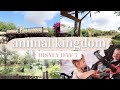 ANIMAL KINGDOM + OUR LAST DAY AT THE HOTEL | safari, pandora, hotel splash pad + gift shop!